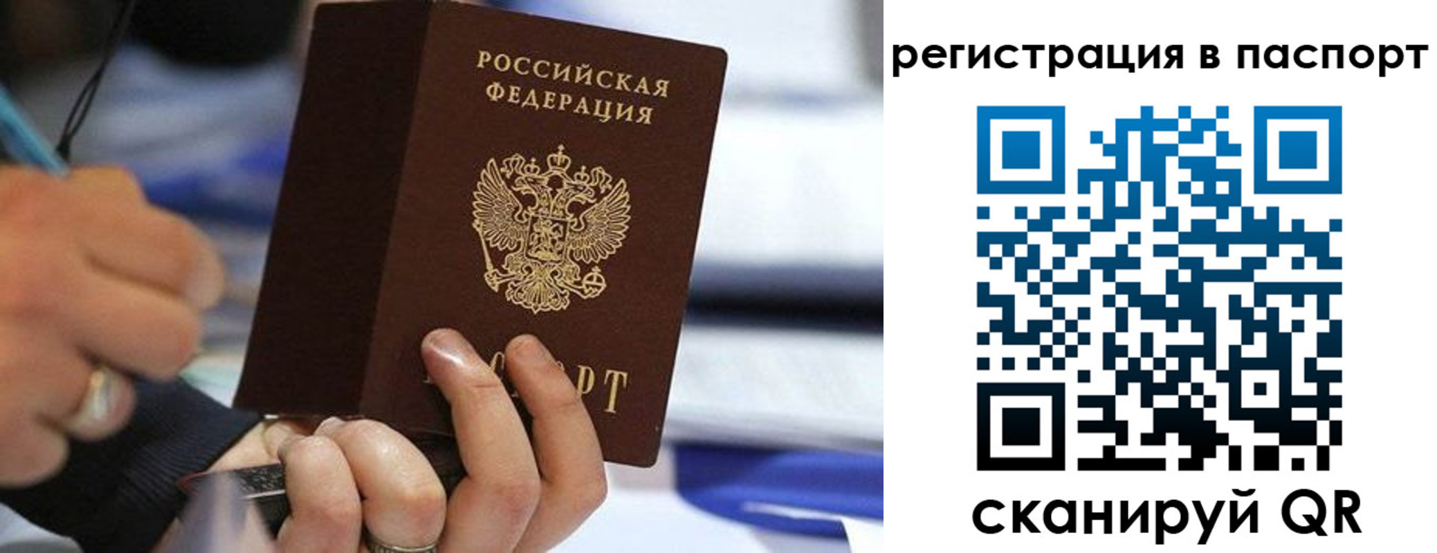 где прописаться в Дмитрове